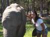 Kelly-Anne Blanchard - meeting one of the locals at Knysna Elephant Park